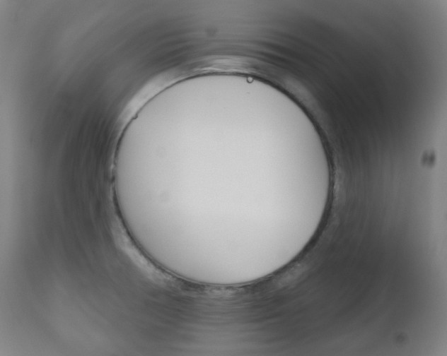 X0000111001378200906191133