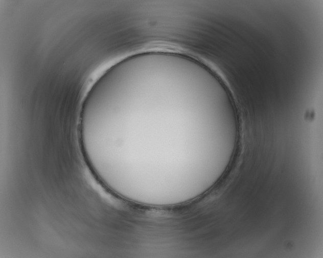 X0000111001379200906191133