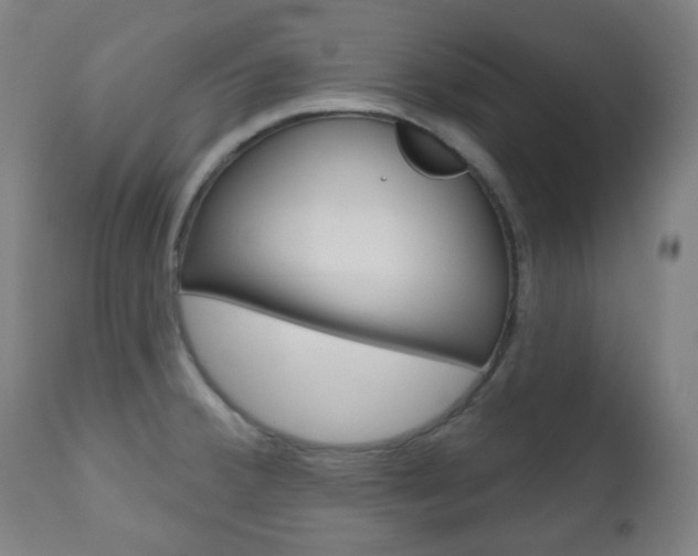 X0000111001380200906191133