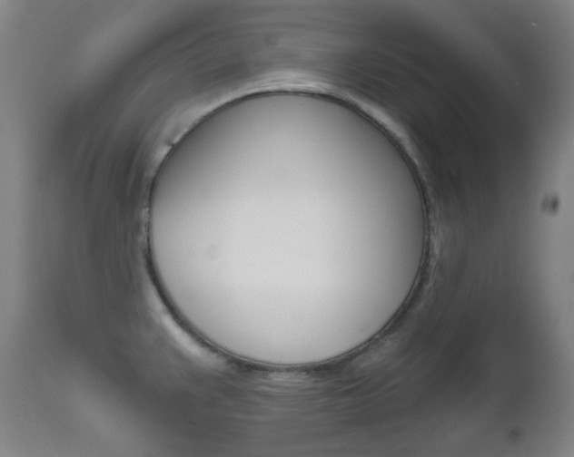 X0000111001383200906191133