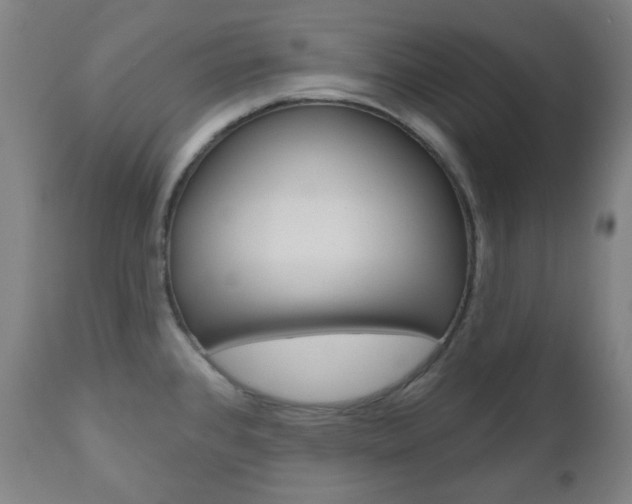 X0000111001384200906191133
