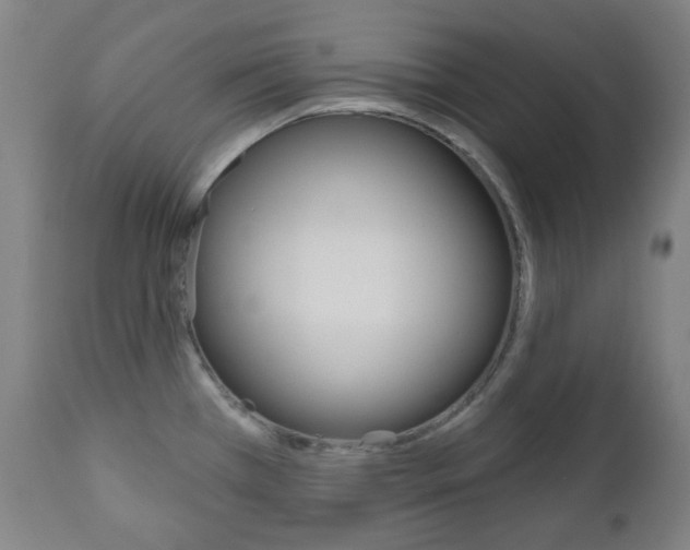 X0000111001385200906191133