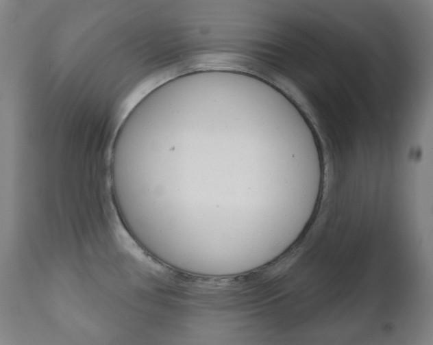 X0000111001386200906191133