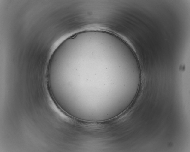 X0000111001387200906191133