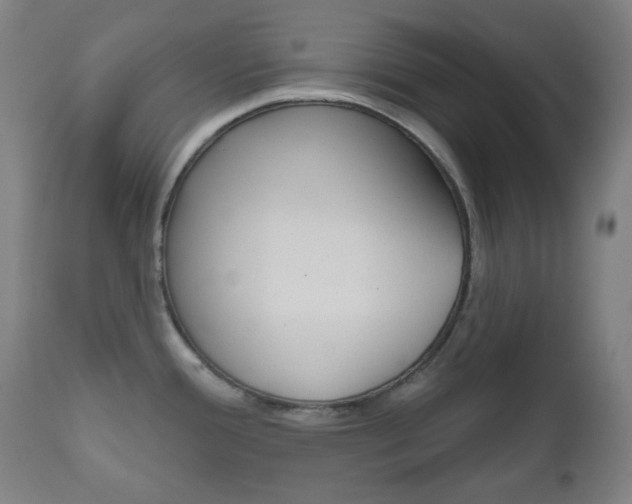 X0000111001388200906191133