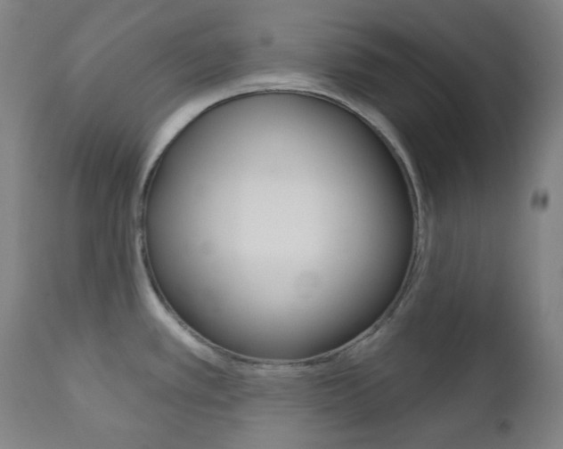X0000111001389200906191133