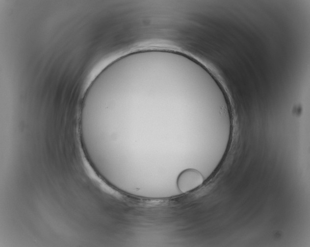X0000111001390200906191133