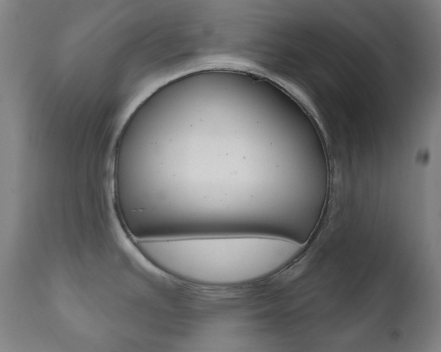 X0000111001391200906191133
