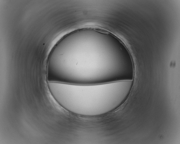 X0000111001392200906191133