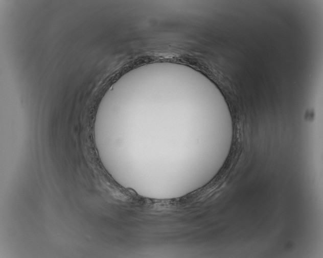 X0000111001393200906191132