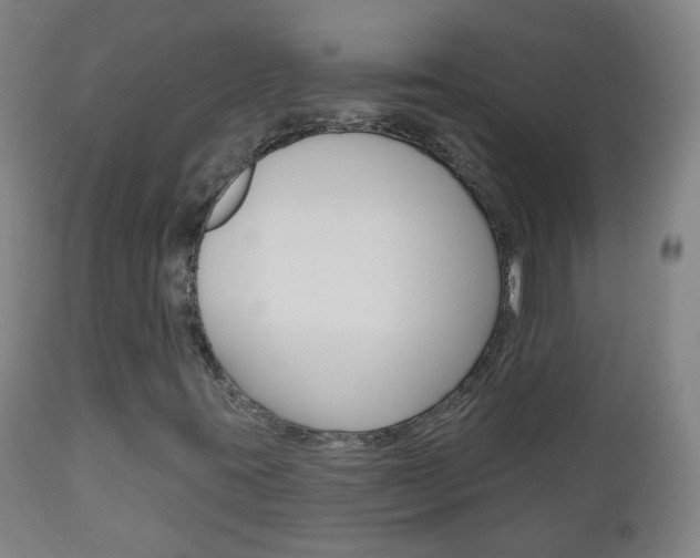 X0000111001395200906191132