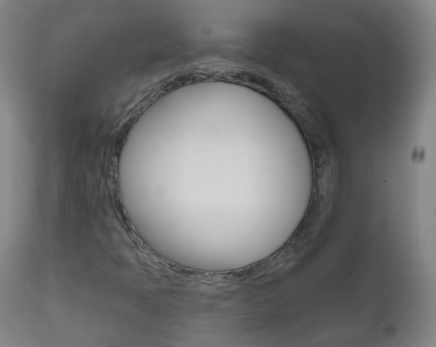 X0000111001397200906191132