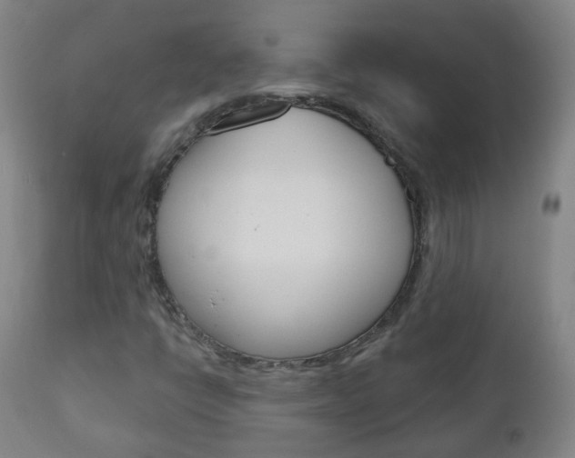 X0000111001398200906191132