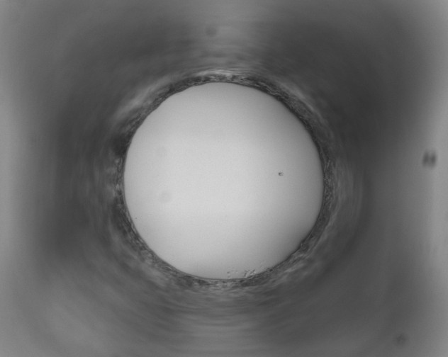 X0000111001399200906191132