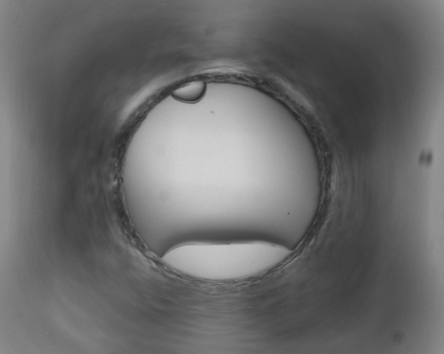 X0000111001400200906191132