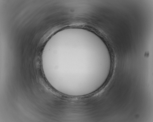 X0000111001401200906191132