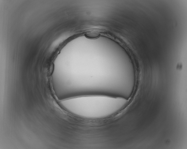X0000111001402200906191132