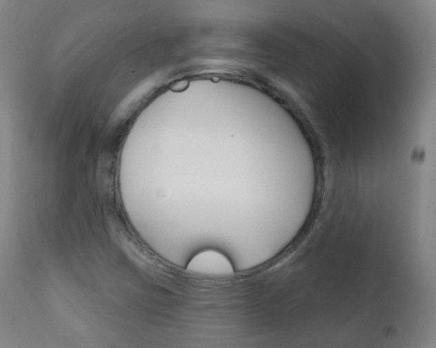 X0000111001403200906191132