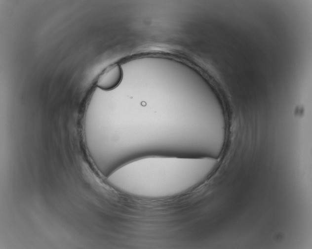 X0000111001404200906191132