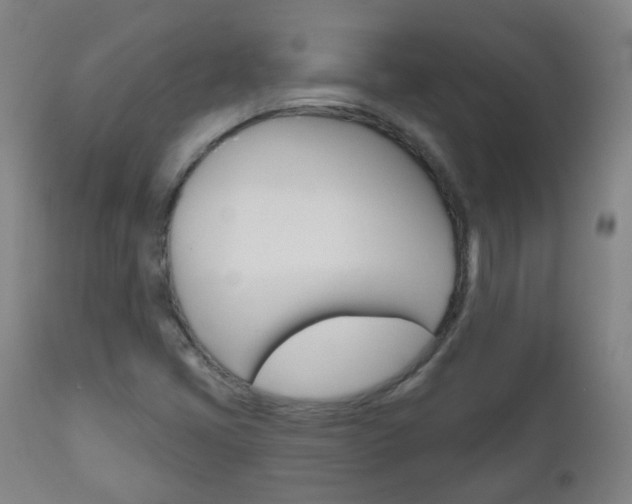 X0000111001405200906191132