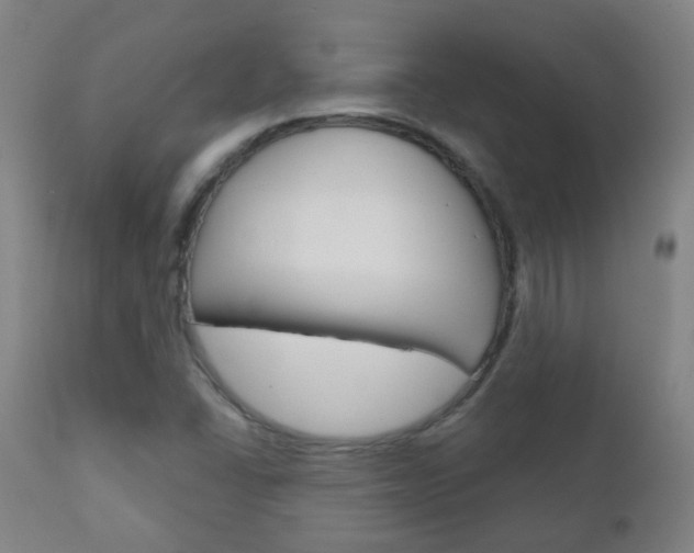 X0000111001406200906191132