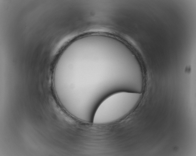 X0000111001408200906191132