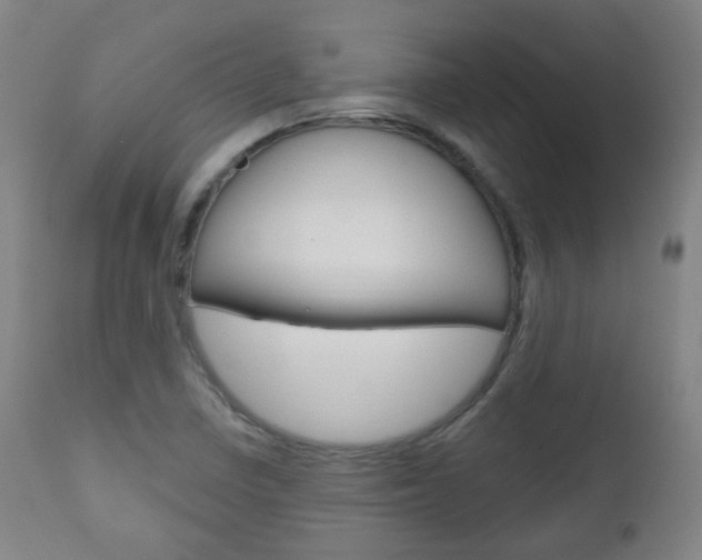 X0000111001410200906191132