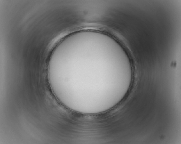 X0000111001411200906191132