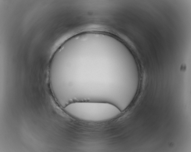 X0000111001413200906191132