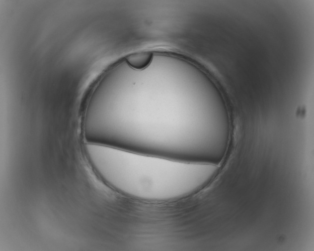 X0000111001414200906191132