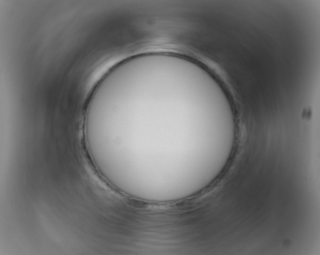 X0000111001415200906191133