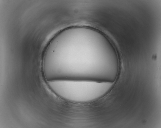 X0000111001416200906191133