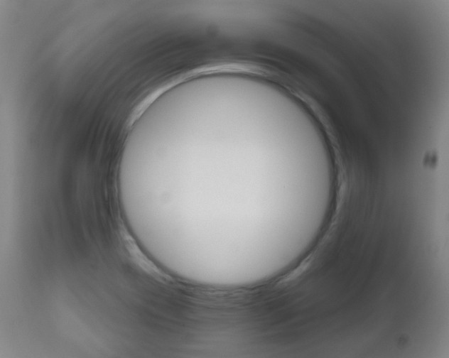 X0000111001417200906191133