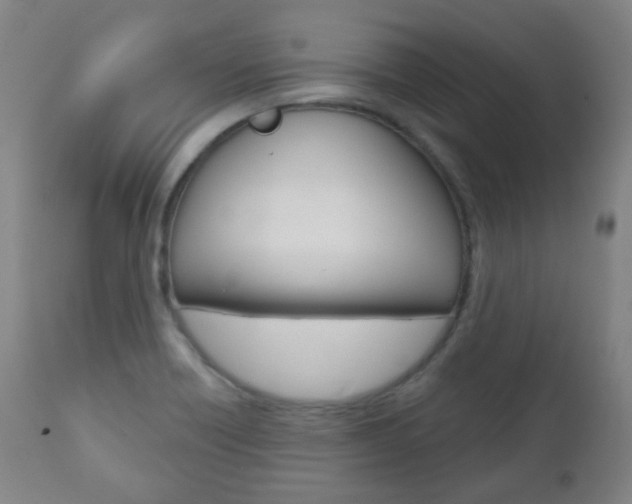 X0000111001418200906191133