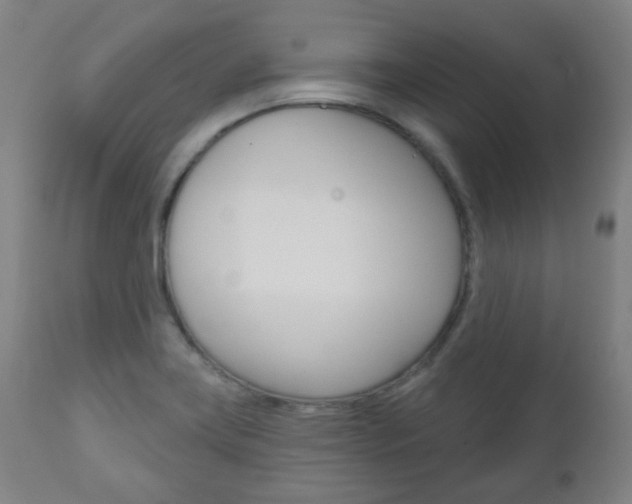 X0000111001419200906191133