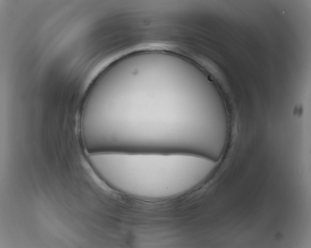 X0000111001420200906191133