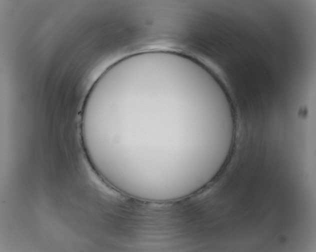 X0000111001423200906191133