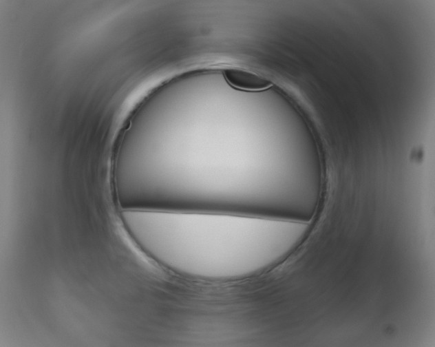 X0000111001424200906191133