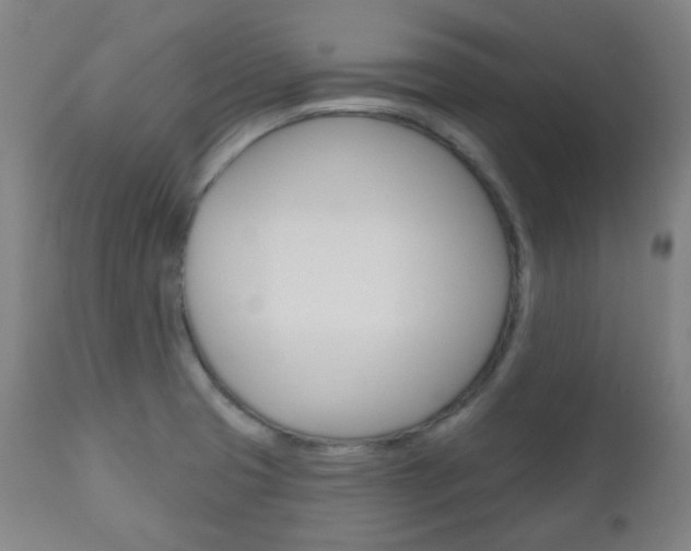 X0000111001425200906191133