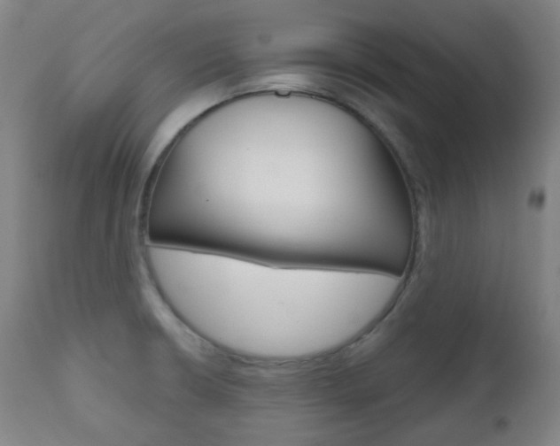 X0000111001426200906191133