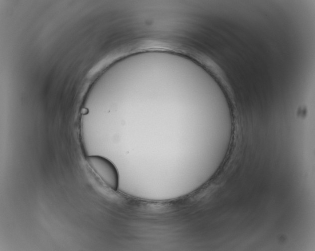 X0000111001427200906191133