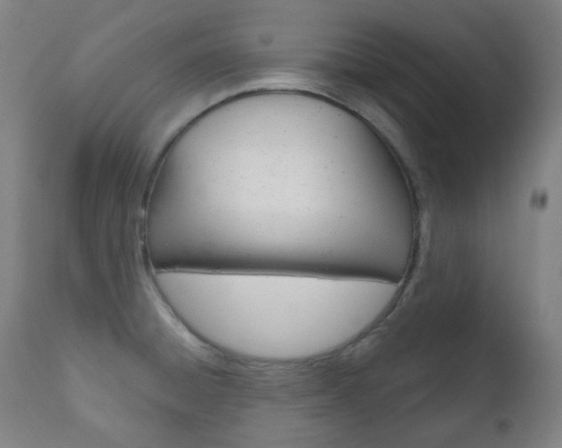 X0000111001428200906191133