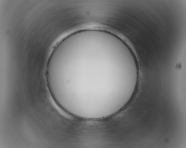 X0000111001429200906191133
