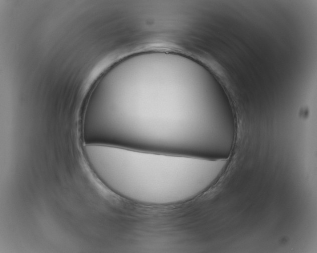 X0000111001430200906191133