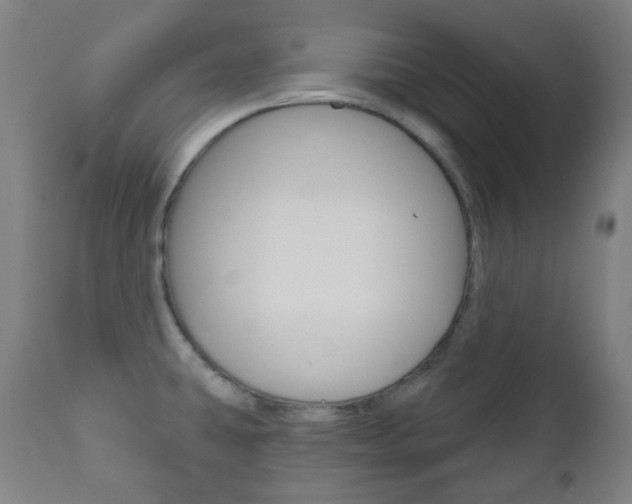 X0000111001431200906191133