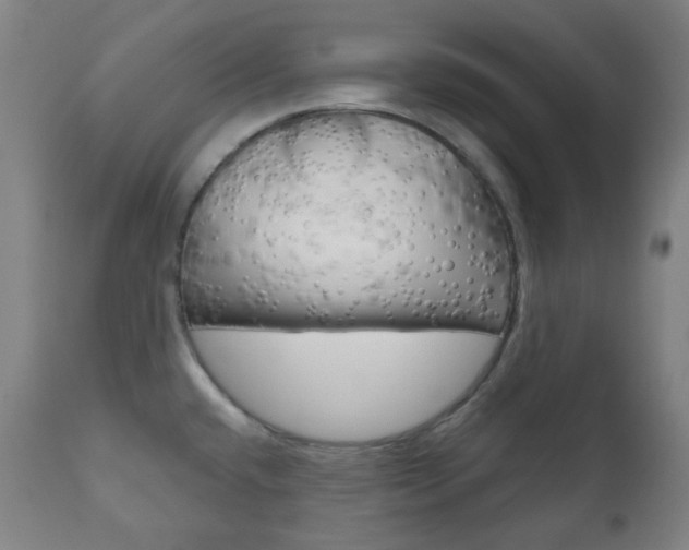 X0000111001432200906191133