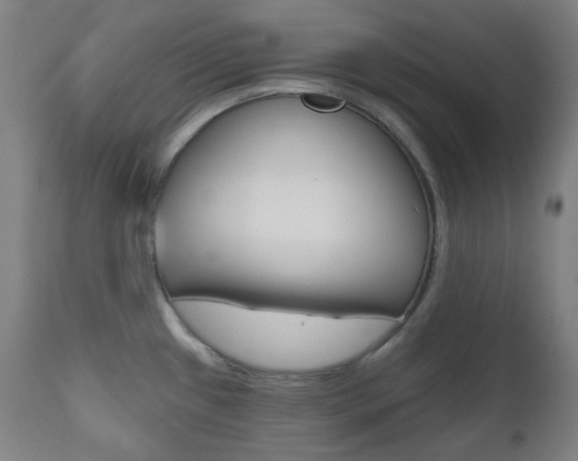 X0000111001433200906191133