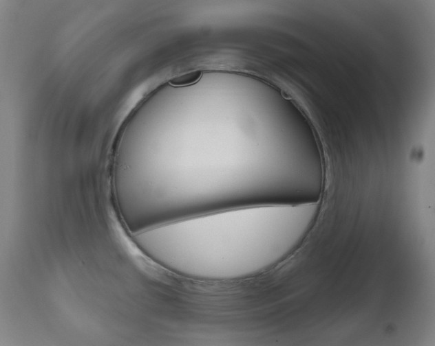 X0000111001434200906191133