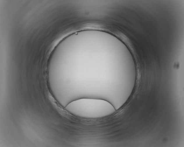 X0000111001435200906191133