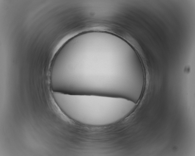 X0000111001436200906191133